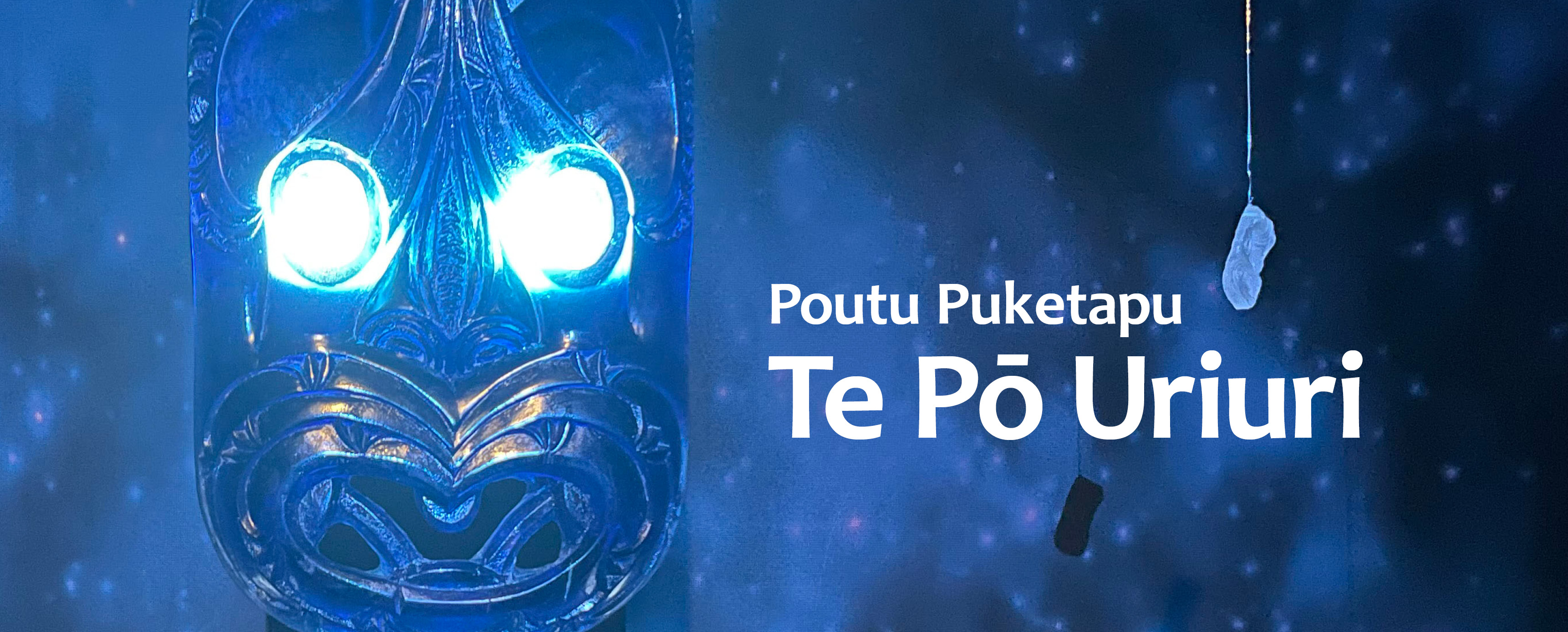 Te Po Uriuri Website Banner